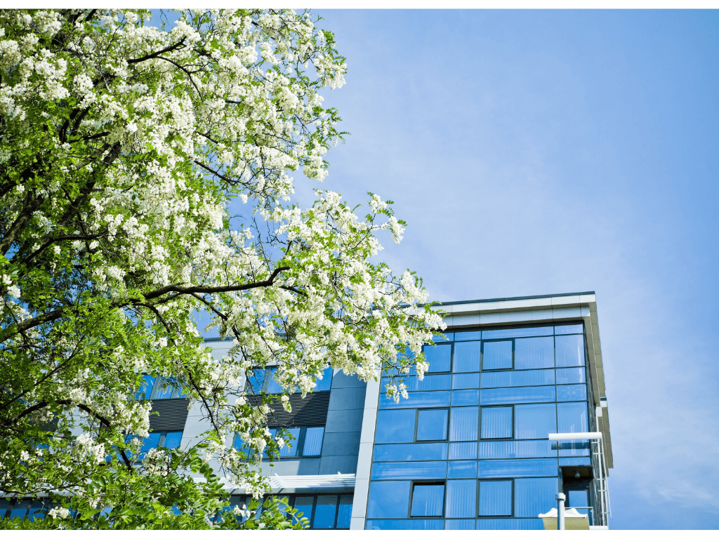 Le printemps est à nos portes! Avez-vous pensé aux travaux d’entretien de votre copropriété?